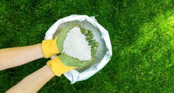 Spring Lawn Care Guide: Tips for a Lush and Healthy Grass Lawn